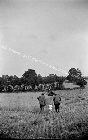 IN THE HARVEST FIELD THE WATCHERS